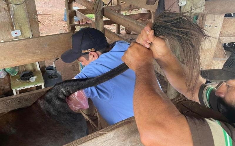 Apresentando o Novo Médico Veterinário